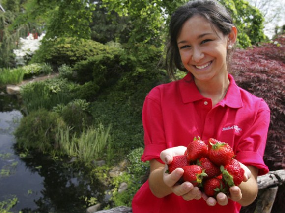 Strawberry Festival at Peddler Village